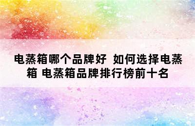 电蒸箱哪个品牌好  如何选择电蒸箱 电蒸箱品牌排行榜前十名